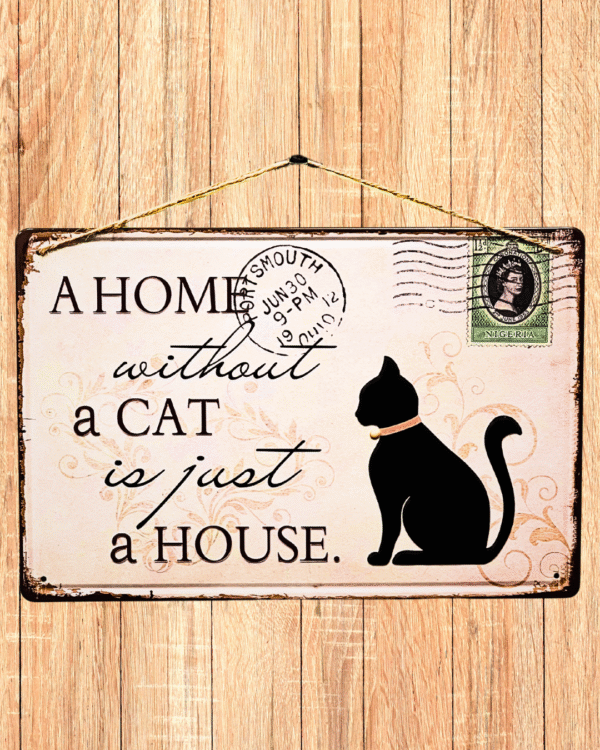 Cat - a home without a cat